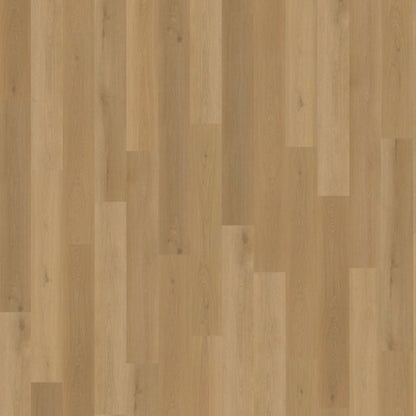 Belakos Borgo 320 dryback