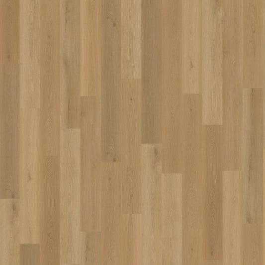 Belakos Borgo 320 | Rigid Click