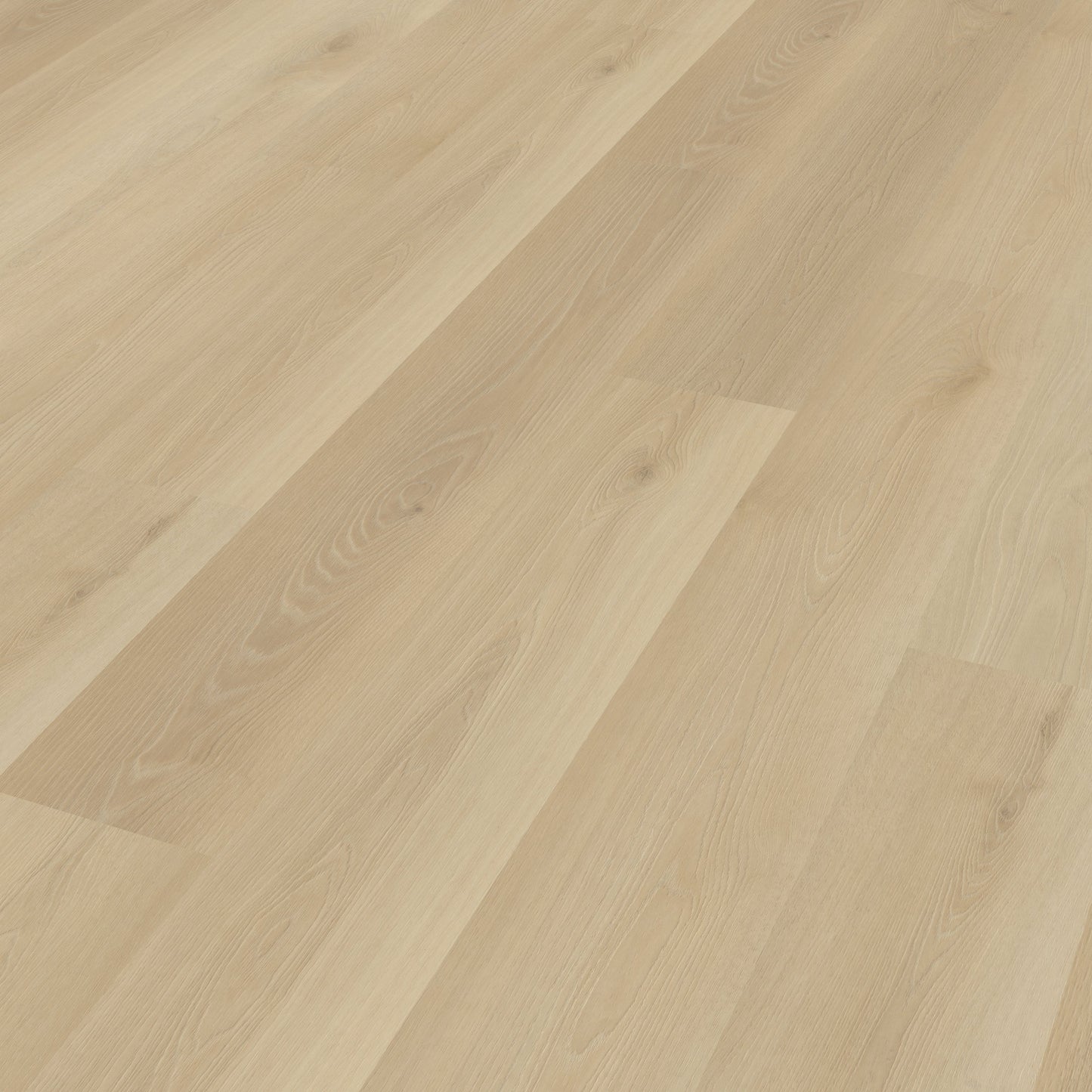 Belakos Borgo 330 dryback
