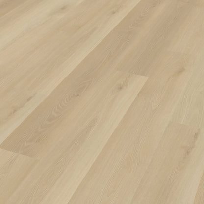 Belakos Borgo 330 dryback