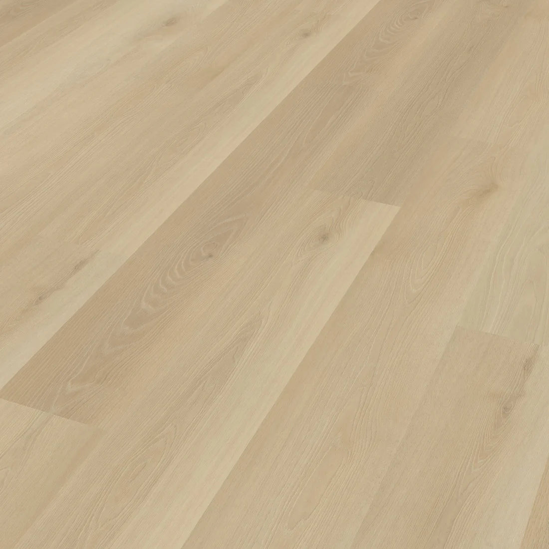 Belakos Borgo 330 | Rigid Click