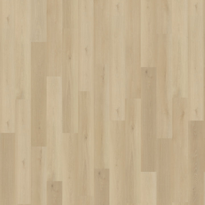 Belakos Borgo 330 dryback