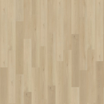 Belakos Borgo 330 dryback