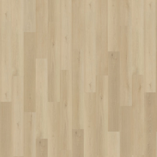 Belakos Borgo 330 dryback