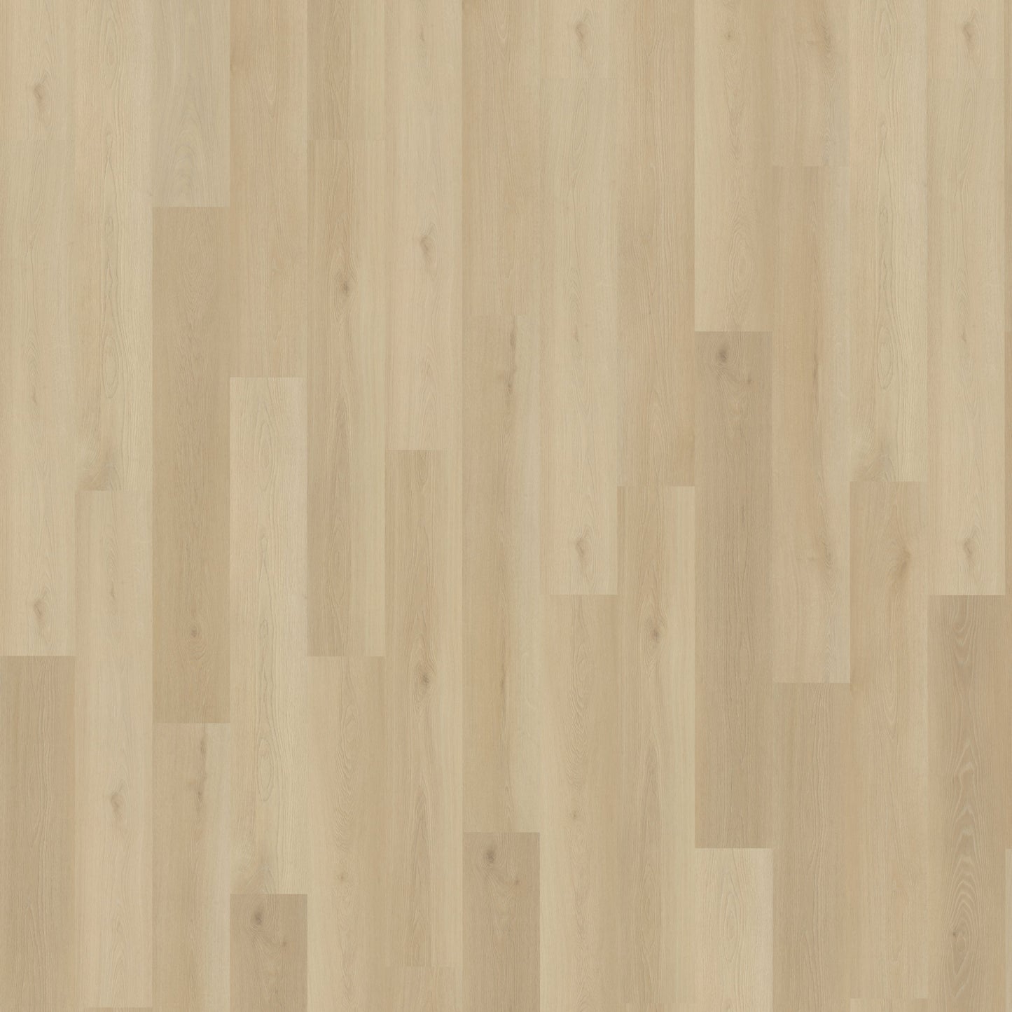 Belakos Borgo 330 | Rigid Click