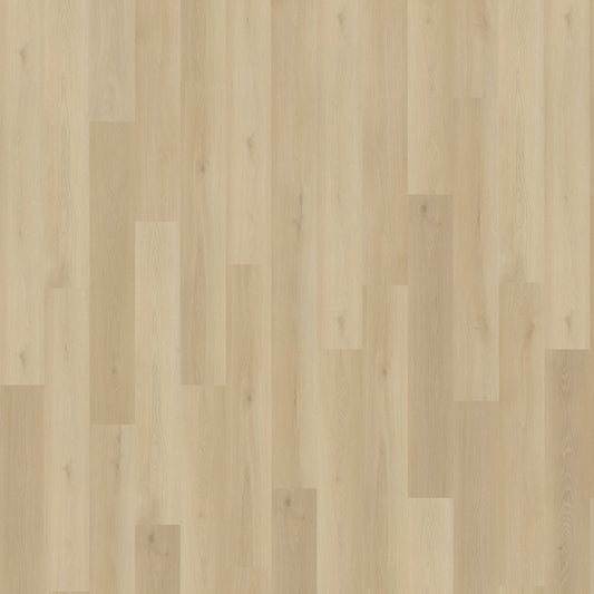 Belakos Borgo 330 | Rigid Click