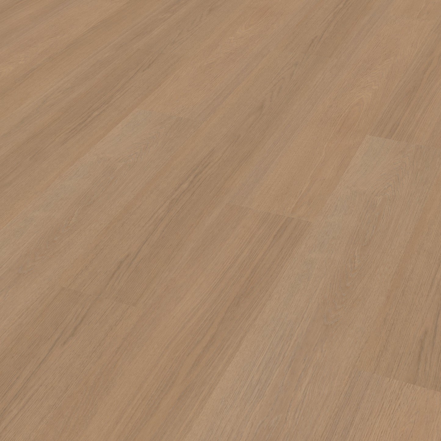 Belakos Futuro 500 dryback