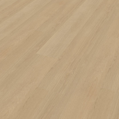 Belakos Futuro 510 dryback