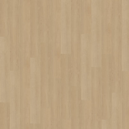 Belakos Futuro 510 Rigid Click