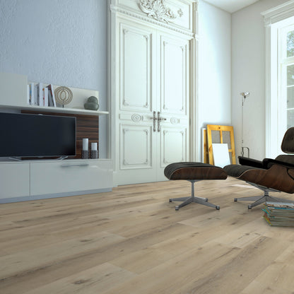 Belakos Palazzo 150 dryback