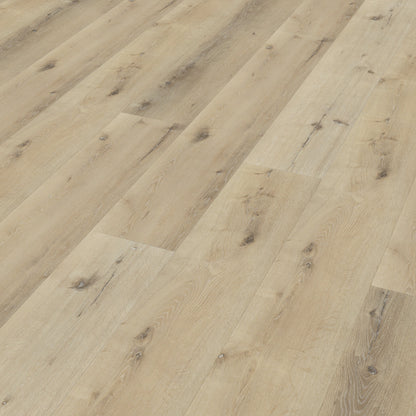 Belakos Palazzo 150 dryback