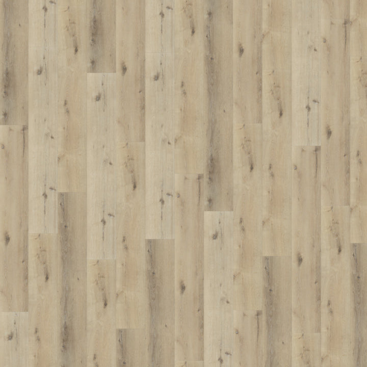 Belakos Palazzo 150 dryback