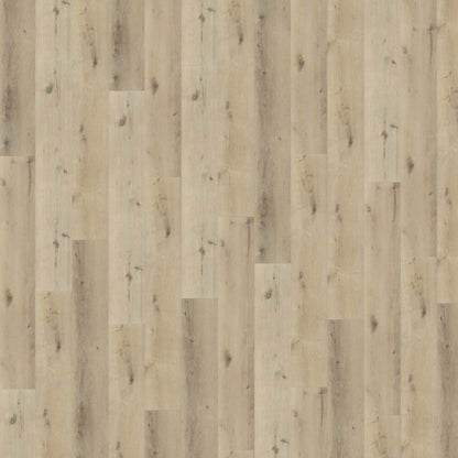 Belakos Palazzo 150 dryback