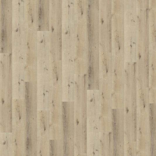 Belakos Palazzo 150 dryback