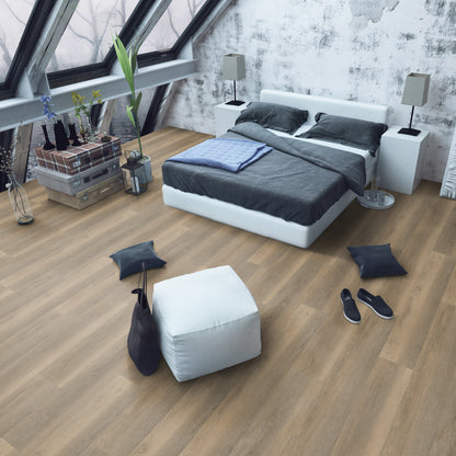 Belakos Palazzo 250 dryback