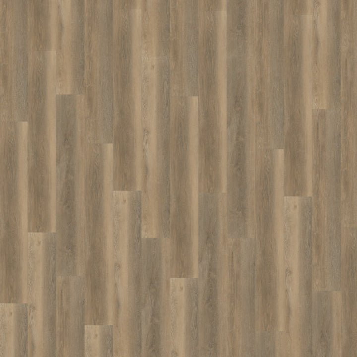 Belakos Palazzo 250 dryback