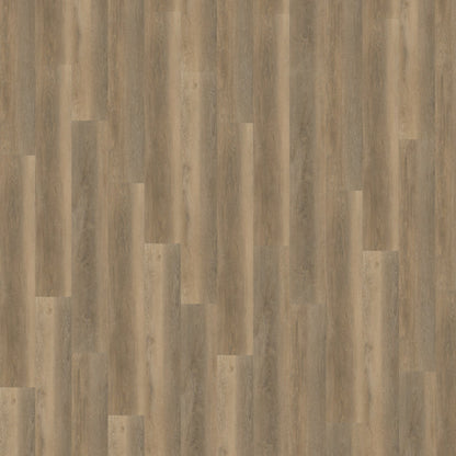 Belakos Palazzo 250 dryback