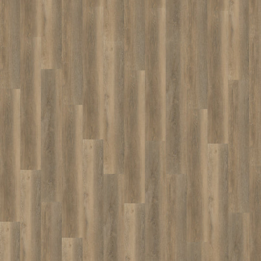 Belakos Palazzo 250 dryback