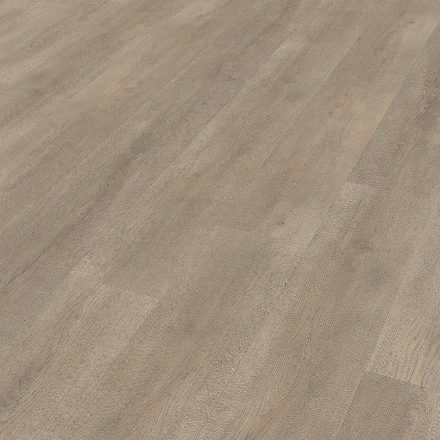 Belakos Palazzo 700 dryback