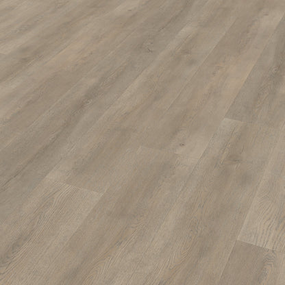 Belakos Palazzo 700 dryback