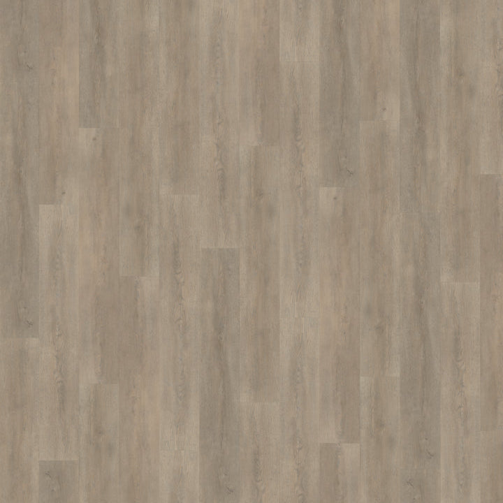 Belakos Palazzo 700 dryback