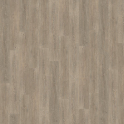 Belakos Palazzo 700 dryback