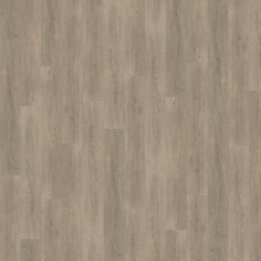 Belakos Palazzo 700 dryback