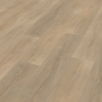 Belakos Palazzo 710 Rigid Click