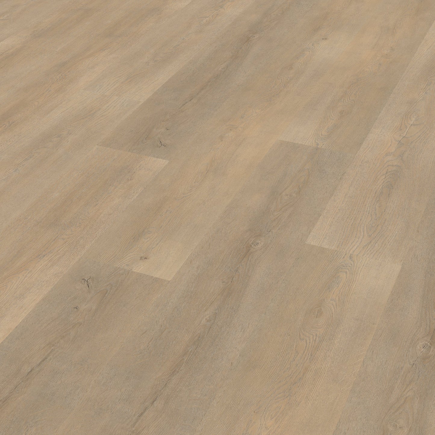 Belakos Palazzo 710 dryback