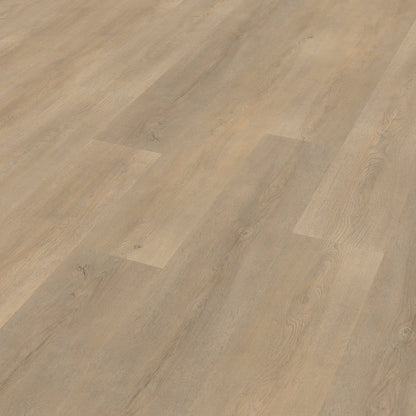 Belakos Palazzo 710 dryback