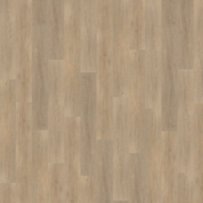 Belakos Palazzo 710 Rigid Click