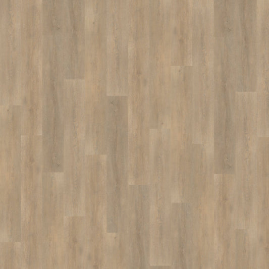 Belakos Palazzo 710 Rigid Click