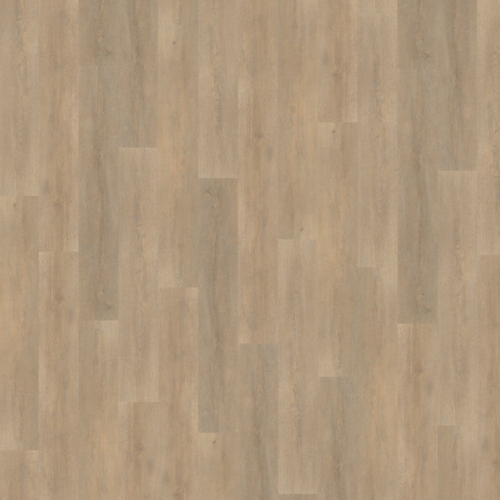 Belakos Palazzo 710 dryback
