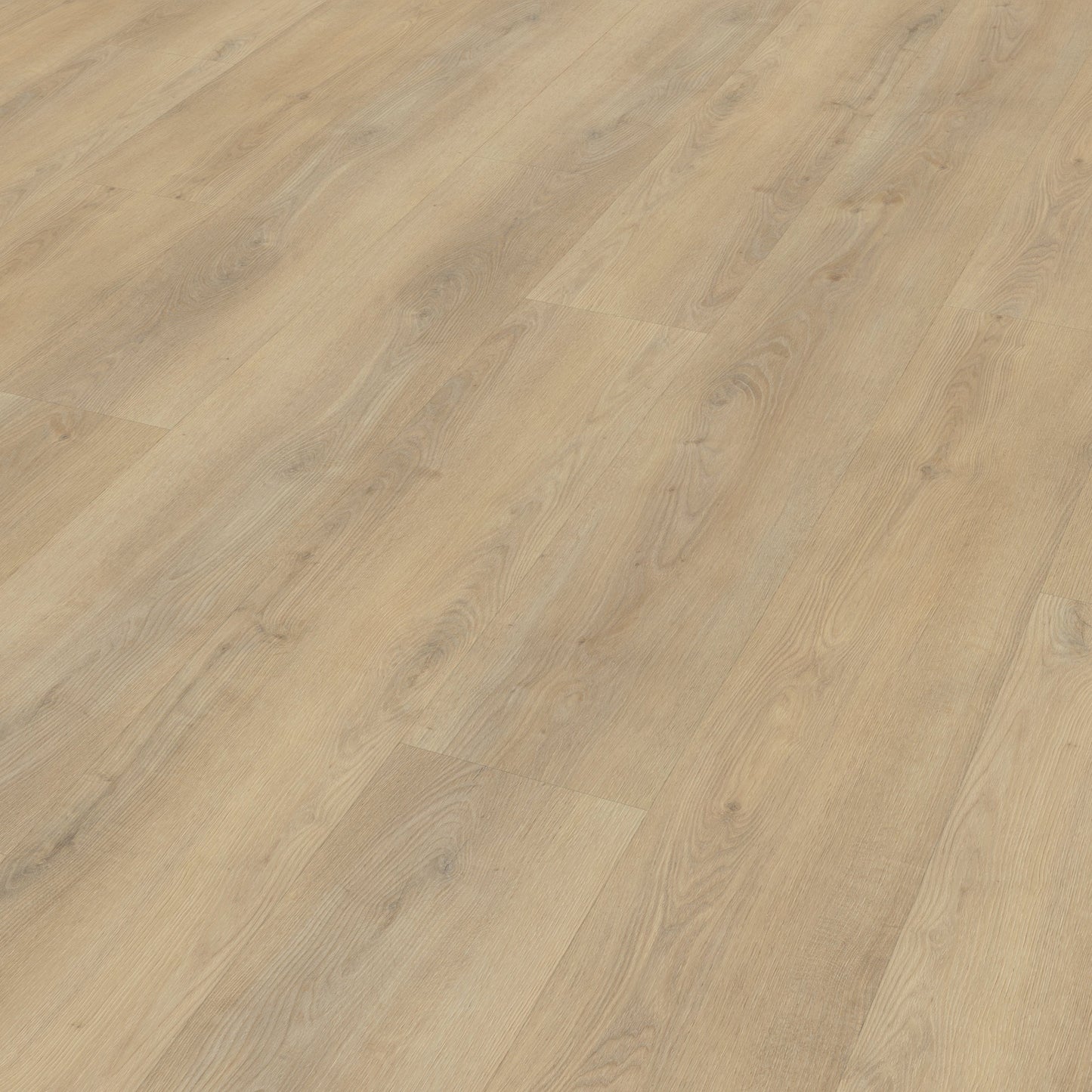 Belakos Palazzo 720 Rigid Click