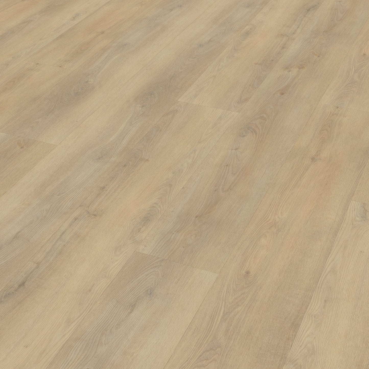 Belakos Palazzo 720 dryback