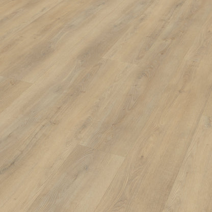 Belakos Palazzo 720 dryback