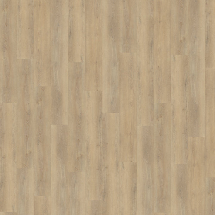 Belakos Palazzo 720 Rigid Click