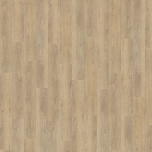 Belakos Palazzo 720 Rigid Click