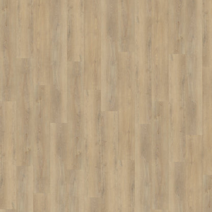 Belakos Palazzo 720 dryback