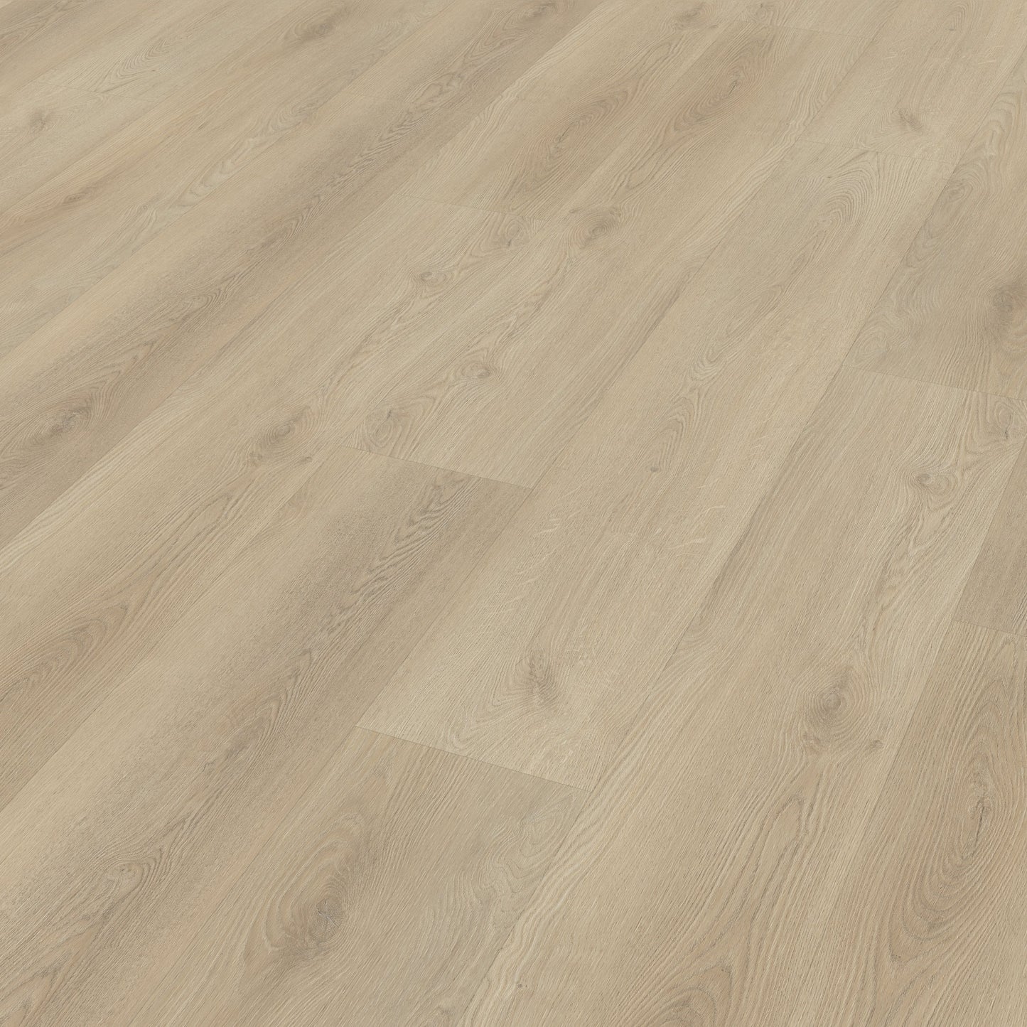 Belakos Palazzo 730 dryback
