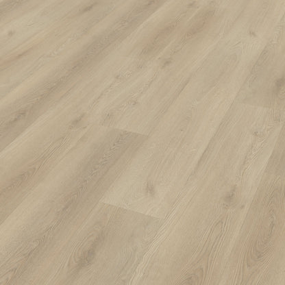 Belakos Palazzo 730 dryback