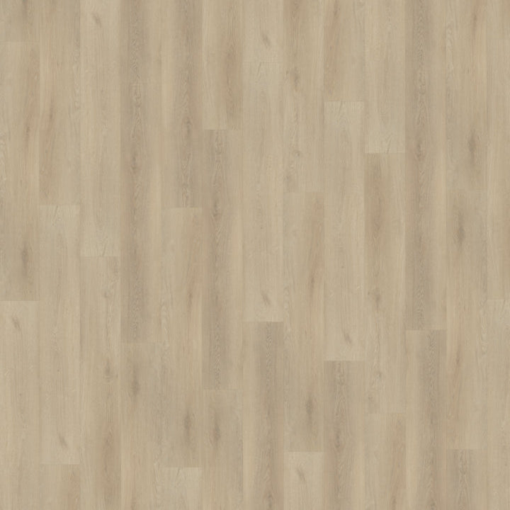 Belakos Palazzo 730 dryback