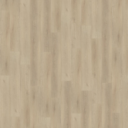Belakos Palazzo 730 dryback