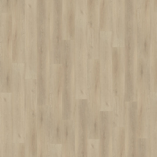 Belakos Palazzo 730 dryback