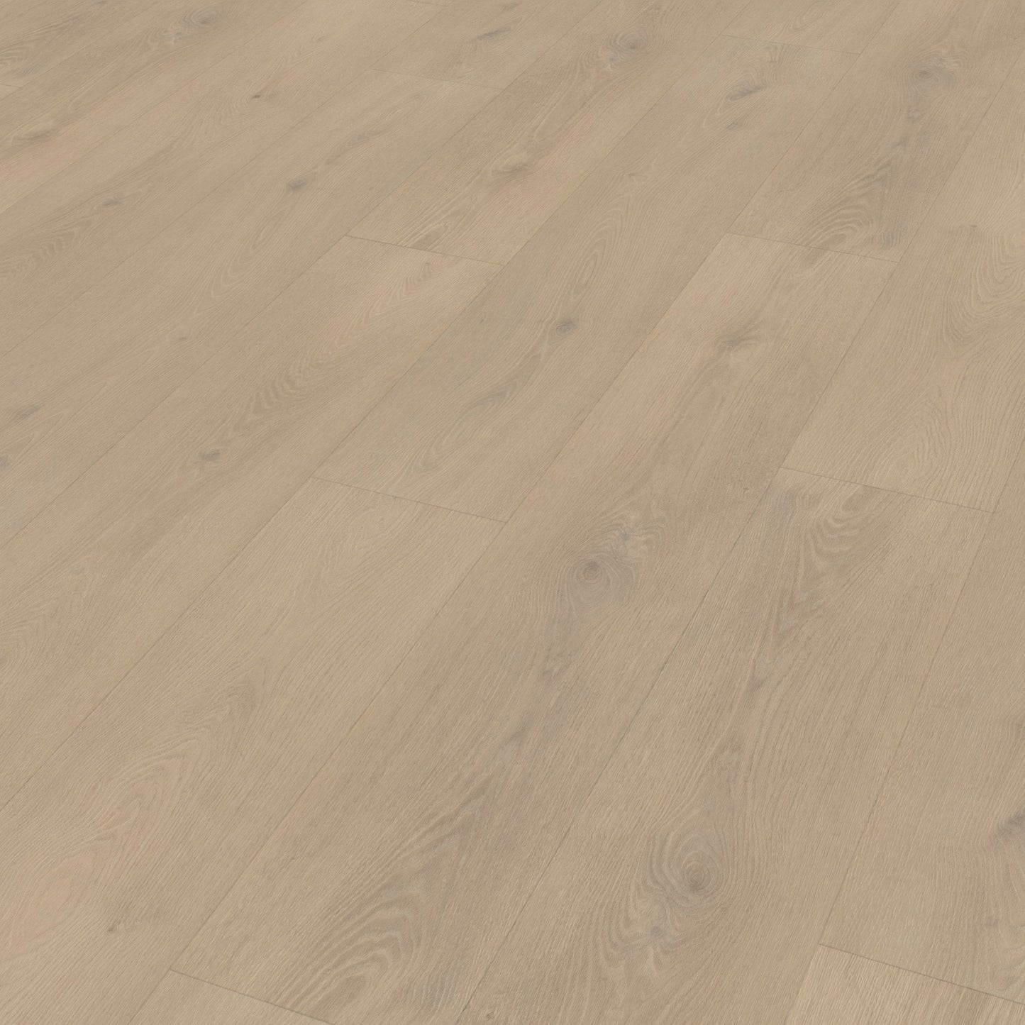 Belakos Palazzo 740 Rigid Click