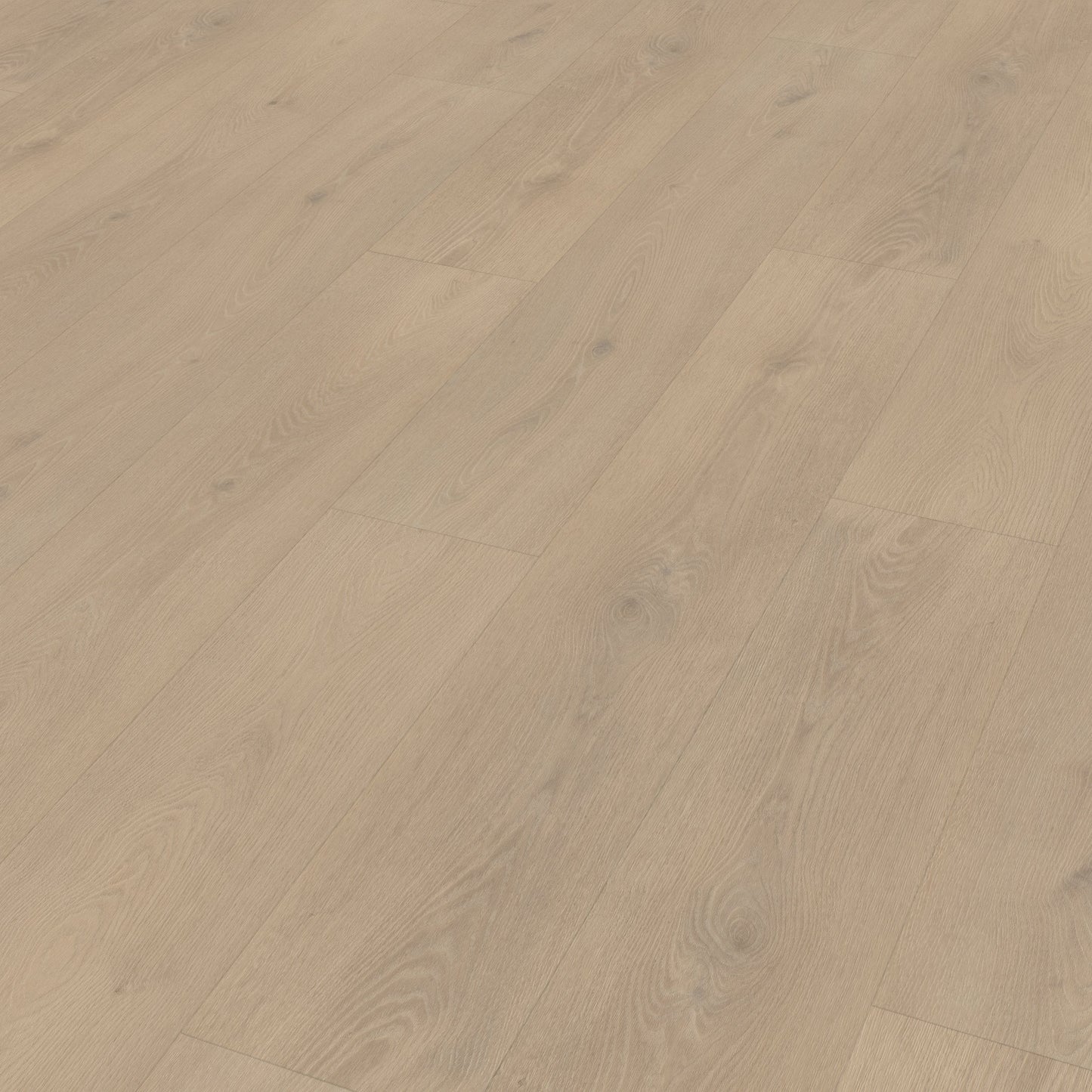 Belakos Palazzo 740 dryback
