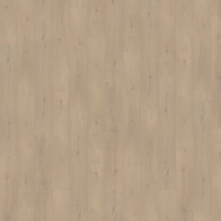 Belakos Palazzo 740 Rigid Click