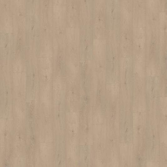 Belakos Palazzo 740 Rigid Click