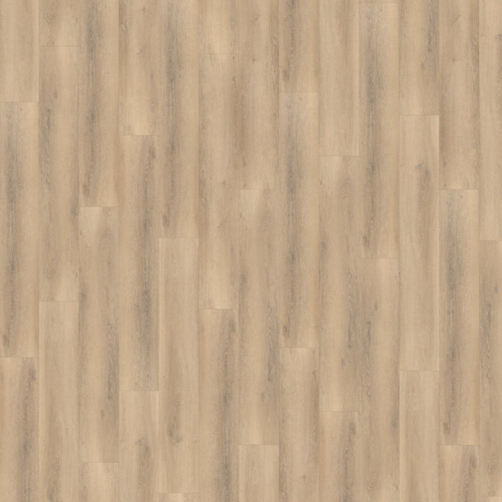 Belakos Palazzo 750 Rigid Click