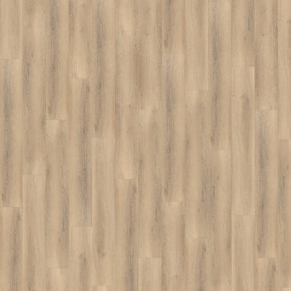 Belakos Palazzo 750 Rigid Click